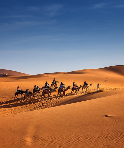 Tour From Marrakech to Chegaga, explore vips trips