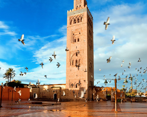 Activity In Marrakech