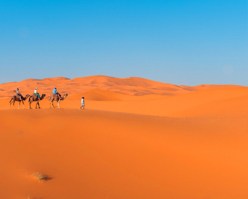 Activity In Merzouga